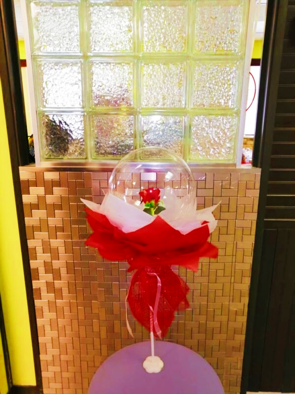 La fleur de Belle, 2 à 3 pieds